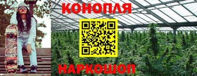 ПСИЛОЦИБИНОВЫЕ ГРИБЫ Усть-Джегута
