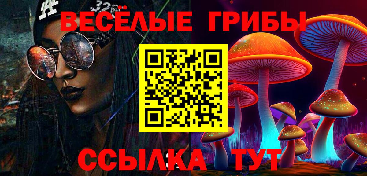 Галлюциногенные грибы Cubensis Нальчик